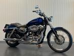 Harley-Davidson XL 1200 C SPORTSTER (bj 2006), Motoren, Motoren | Harley-Davidson, Chopper, Bedrijf, Meer dan 35 kW, 1200 cc