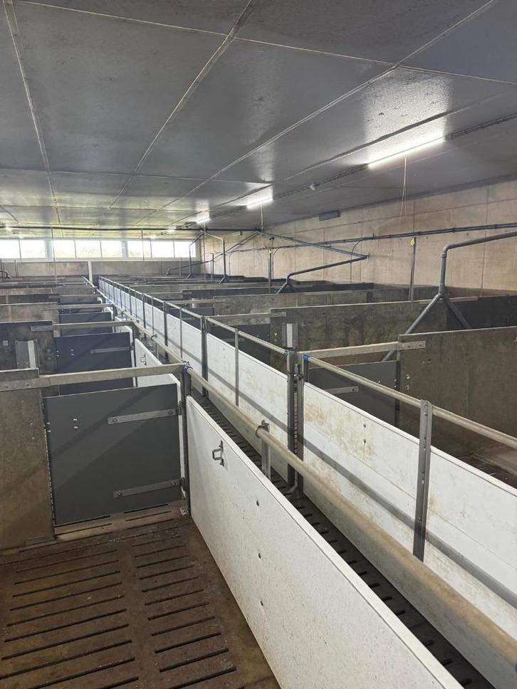 Vleesvarkens inrichting brijvoer [677], Dieren en Toebehoren, Overige Dieren-accessoires, Ophalen of Verzenden