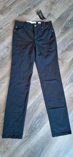 Nieuw broek van rosner 36 lengte 32 type audrey, Kleding | Dames, Broeken en Pantalons, Ophalen, Zwart, Nieuw, Maat 36 (S)