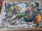 Mooie puzzel met vogels, Ophalen of Verzenden, 500 t/m 1500 stukjes, Zo goed als nieuw