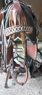 dubbelspan paardetuig full, Dieren en Toebehoren, Paarden en Pony's | Hoofdstellen en Tuigage, Ophalen, Springen