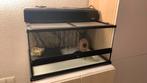 Exo Terra Natural Terrarium Medium/Low 60 x 45 x 30cm, Ophalen, Zo goed als nieuw, Terrarium of Paludarium