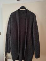 Dames vest Hema maat L grijs, Ophalen of Verzenden, Zo goed als nieuw, Maat 38/40 (M), Grijs