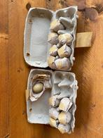 Gratis af te halen 15 stuks easter eggers, Diversen, Ophalen of Verzenden