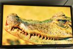 Samsung TV 32 inch van €325 voor €60, 50 Hz, LCD, Ophalen of Verzenden, Zo goed als nieuw