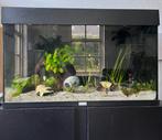 Conpleet Juwel aquarium met kast, Dieren en Toebehoren, Vissen | Aquaria en Toebehoren, Ophalen, Gevuld zoetwateraquarium