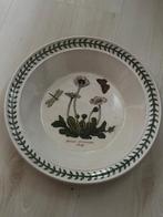 Botanisch bord, eko, plant, natuur, Ophalen of Verzenden