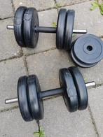 Dumbbells en halterschijven set 24 kg, Sport en Fitness, Fitnessmaterialen, Ophalen, Gebruikt, Benen, Dumbbell