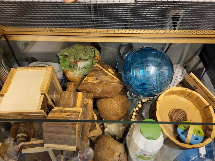 Dwerghamster kooi met heleboel accessoires, Dieren en Toebehoren, Knaagdieren en Konijnen | Hokken en Kooien, Zo goed als nieuw