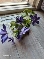 Clematis bloemen, Ophalen of Verzenden, Zo goed als nieuw