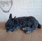 Opgezet groot konijn (Blauwe Wener), Verzamelen, Dierenverzamelingen, Ophalen of Verzenden, Nieuw, Overige soorten, Opgezet dier