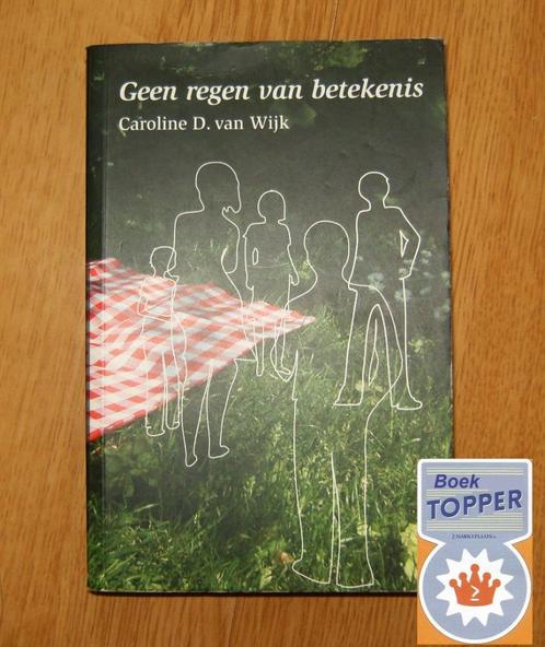 Geen regen van betekenis - Caroline D. van Wijk, Boeken, Romans, Zo goed als nieuw, Nederland, Ophalen of Verzenden