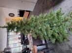 Zgan. Mooie Volle Kerstboom., Ophalen, Zo goed als nieuw