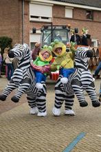 Mooie kikker en zebra pakken te koop, Carnaval, Gebruikt, Ophalen