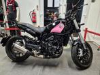 BENELLI LEONCINO 500 (bj 2024), Motoren, 2 cilinders, Bedrijf, Onbekend, Toermotor