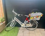 Fietsmand hond achterop trixie wit, Ophalen, Nieuw, Fietsmand, Trixie