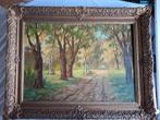 Schilderij bos gezicht gesigneerd  k  v.beek, Antiek en Kunst, Kunst | Schilderijen | Klassiek, Ophalen