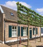 appartement te huur gevraagd overnamekosten geen probleem, Huizen en Kamers, Direct bij eigenaar, 2 kamers, Appartement, Amsterdam