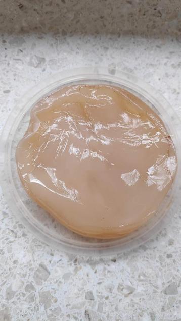 Kombucha Scoby beschikbaar voor biedingen