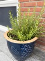 Bloem pot, Tuin en Terras, Bloempotten, Ophalen, Gebruikt
