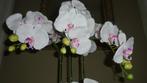 zgan kunstplant, vlinder orchidee H117 B48, Ophalen, Zo goed als nieuw, Binnen