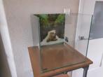 Dennerle Aquarium 60 liter, Dieren en Toebehoren, Ophalen, Gebruikt, Leeg aquarium