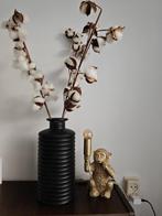 Katoenplant, Ophalen of Verzenden, Gebruikt