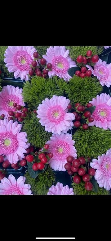 Chauffeurs bloemen route gevraagd beschikbaar voor biedingen