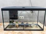 Aquarium, Dieren en Toebehoren, Vissen | Aquaria en Toebehoren, Ophalen, Zo goed als nieuw, Leeg aquarium