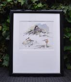 Erik van Ommen: aquarel Broedende fuut, Antiek en Kunst, Ophalen of Verzenden