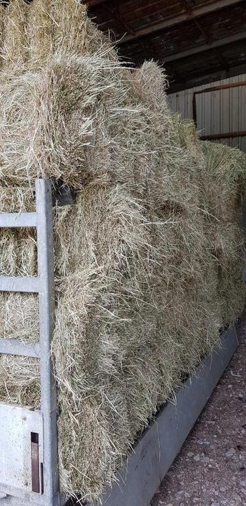kleine pakjes hooi beschikbaar voor biedingen