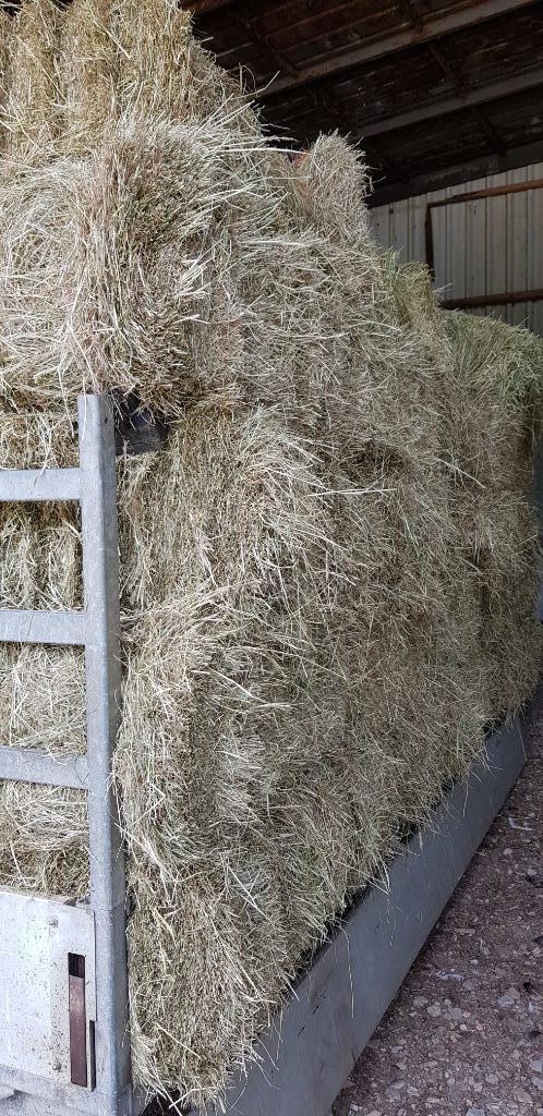 kleine pakjes hooi, Dieren en Toebehoren, Schapen, Geiten en Varkens, Schaap, Meerdere dieren