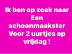 Schoonmaakster gezocht voor 2 uurtjes (vrijdag ), Overige vormen