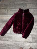 Bordeaux fluwelen jas - Maat M, Kleding | Dames, Maat 38/40 (M), Ophalen of Verzenden, Rood, Onbekend