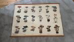 Schoolplaat Paddestoelen., Antiek en Kunst, Antiek | Schoolplaten, Ophalen, Natuur en Biologie