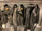 Zeer mooie Harley davidson motor kleding, Ophalen of Verzenden, Tweedehands, Dames, Jas | leer