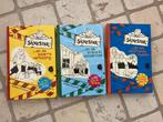 Silvester boeken set 3 stuks willeke brouwer hardcover!, Ophalen of Verzenden, Zo goed als nieuw, Willeke Brouwer, Fictie algemeen