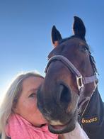 Verzorger bijrijder gezocht, Ophalen of Verzenden, Gebruikt