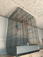 Alles wat je op de foto ziet zit erbij, Dieren en Toebehoren, Vogels | Hokken en Kooien, Ophalen, Zo goed als nieuw, Metaal, Vogelkooi