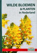 Wilde Bloemen En Planten In Nederland BOEK 9789464043181, Ophalen of Verzenden, Zo goed als nieuw, Bloemen, Planten en Bomen, Neil Fletcher