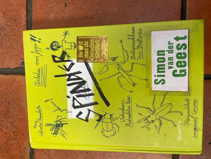 Spinder - Simon van der Geest, Boeken, Kinderboeken | Jeugd | onder 10 jaar, Gelezen, Fictie algemeen, Ophalen of Verzenden