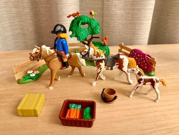 Playmobil 5227 Paddock met paardenfamilie, Kinderen en Baby's, Speelgoed | Playmobil, Gebruikt, Complete set, Ophalen of Verzenden