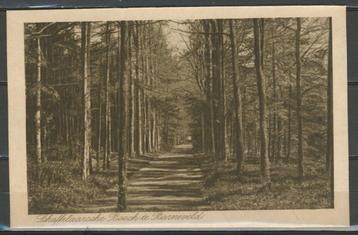 Barneveld 1924 Schaffelaarse Bosch Ansichtkaart 1060j jdu  V beschikbaar voor biedingen