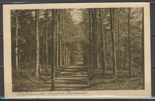 Barneveld 1924 Schaffelaarse Bosch Ansichtkaart 1060j jdu  V, Verzamelen, Ansichtkaarten | Nederland, Ongelopen, Gelderland, 1920 tot 1940