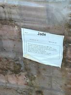 Gebakken dikformaat Jade rood/bruin 10m2 (prijs p/m2), Ophalen, Nieuw, 5 tot 10 m², Klinkers