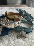 Lakleren hondenhalsbandjes voor pup of kleine hond 27 cm, Ophalen of Verzenden, Nieuw