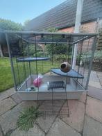 Knaagdieren (ratten) kooi, Ophalen, Kooi, Gebruikt, Hamster