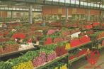 AALSMEER Snijbloemen Veiling, Verzamelen, Ansichtkaarten | Nederland, Verzenden, 1980 tot heden, Ongelopen, Noord-Holland