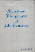 Spiritual blueprints of my journey - Indulal Shah, Boeken, Esoterie en Spiritualiteit, Gelezen, Ophalen of Verzenden, Indulal Shah
