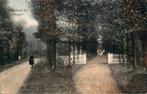 Meppel - Schiphorst, Ophalen of Verzenden, Voor 1920, Gelopen, Drenthe
